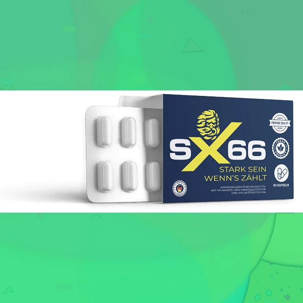 SX 66